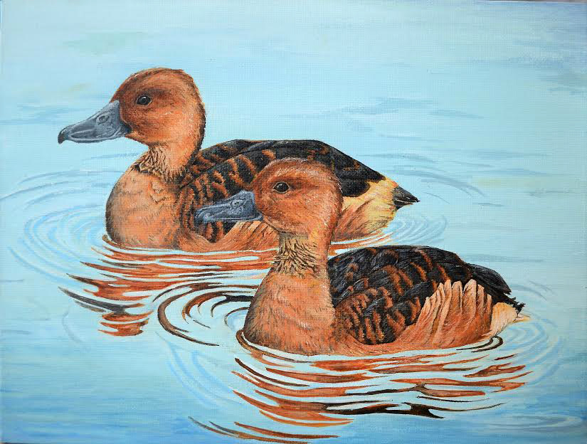 Duck Stamp