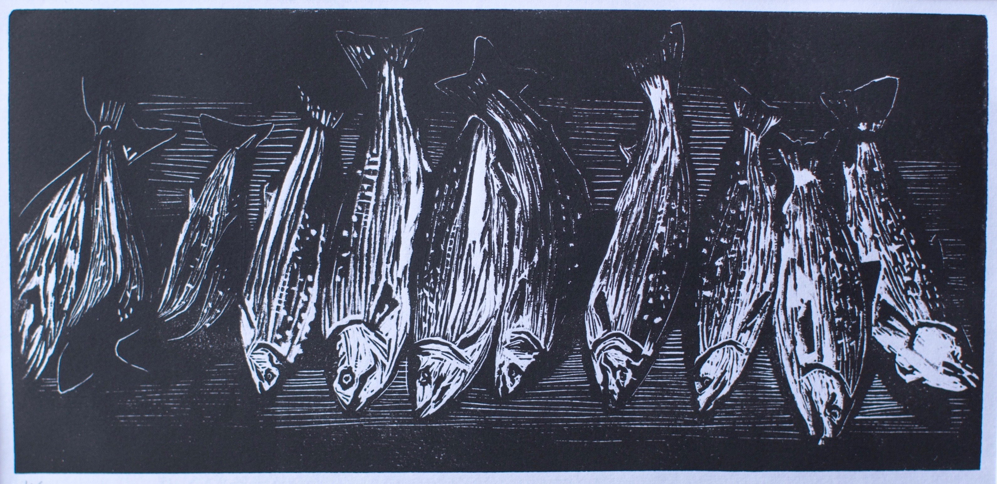 Salmon and Halibut