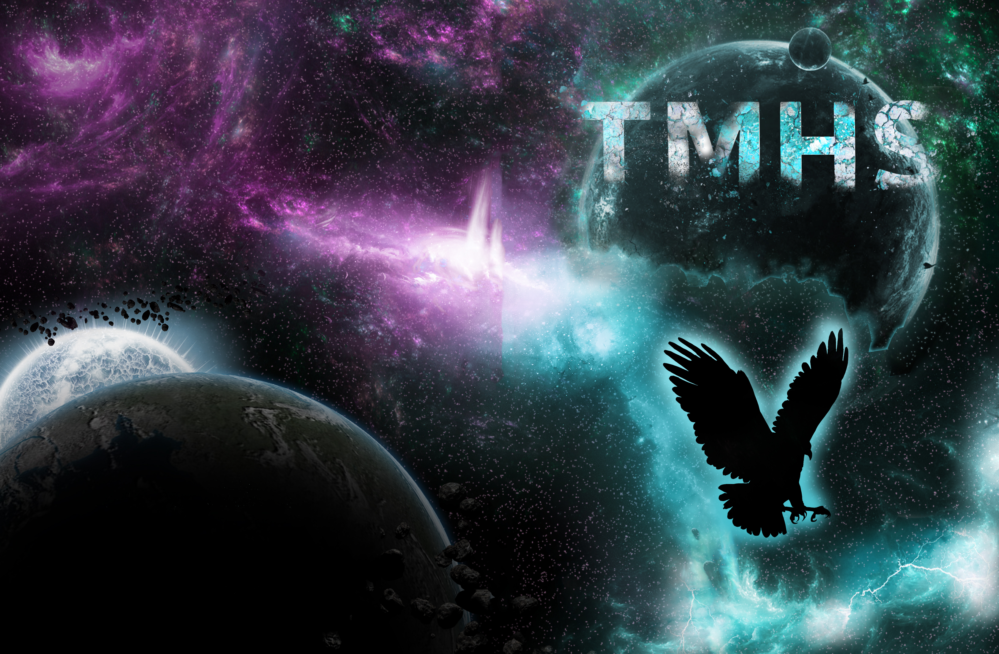 TMHS Falcons