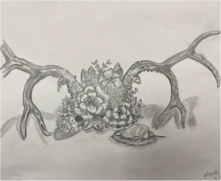 Antler, Flowers, and Shell