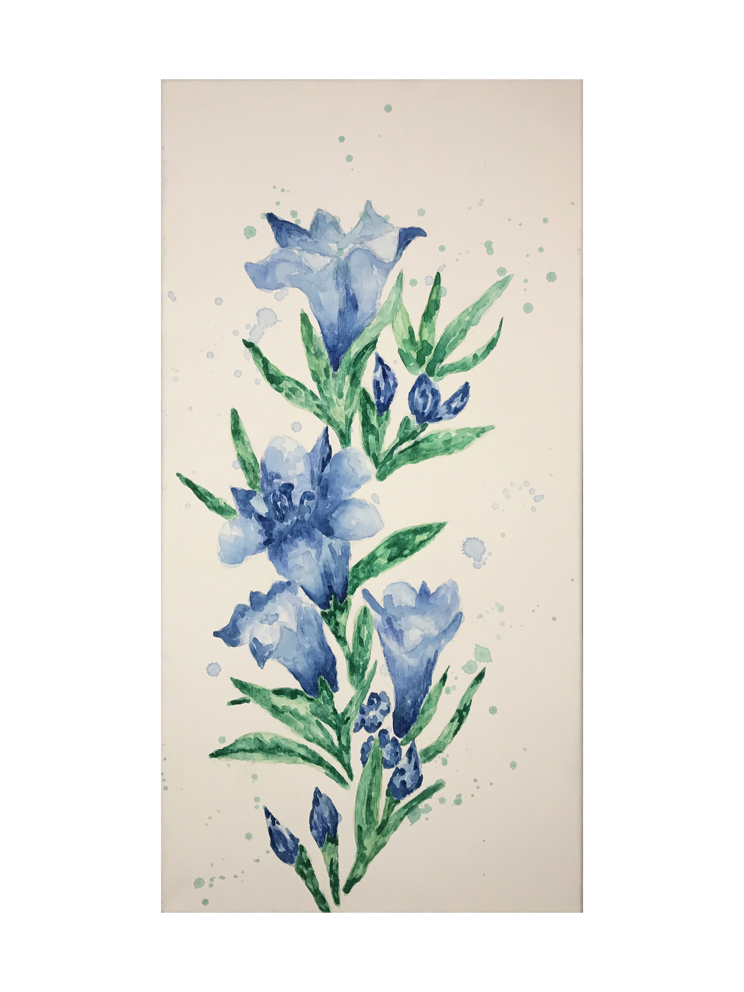 Blue Flowers