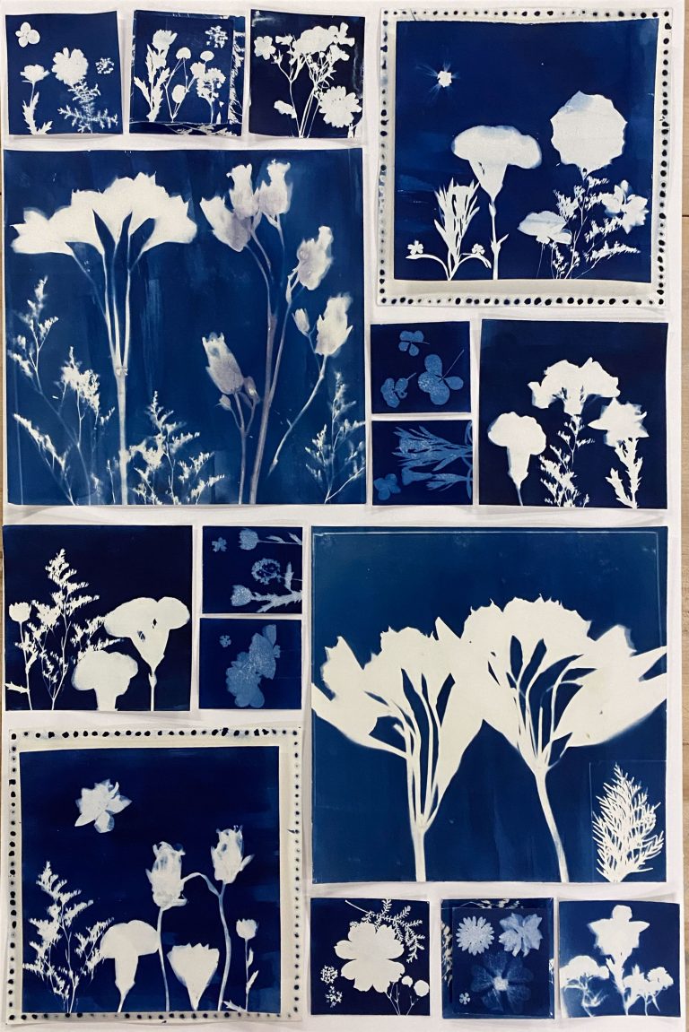 Dreams Spring Garden