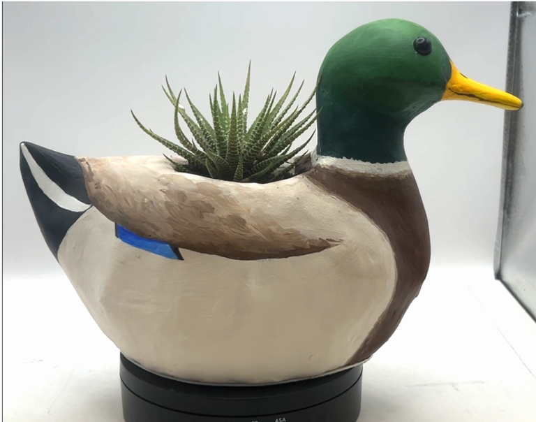 Spike the Mallard