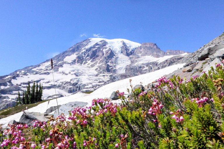 Dangerous But Beautiful